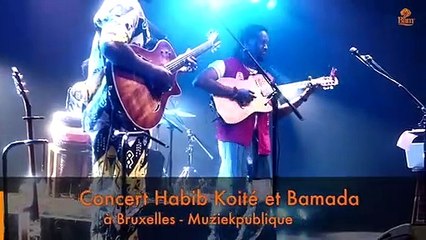 Teasert Concert Habib Koité et Bamada Muziekpublique
