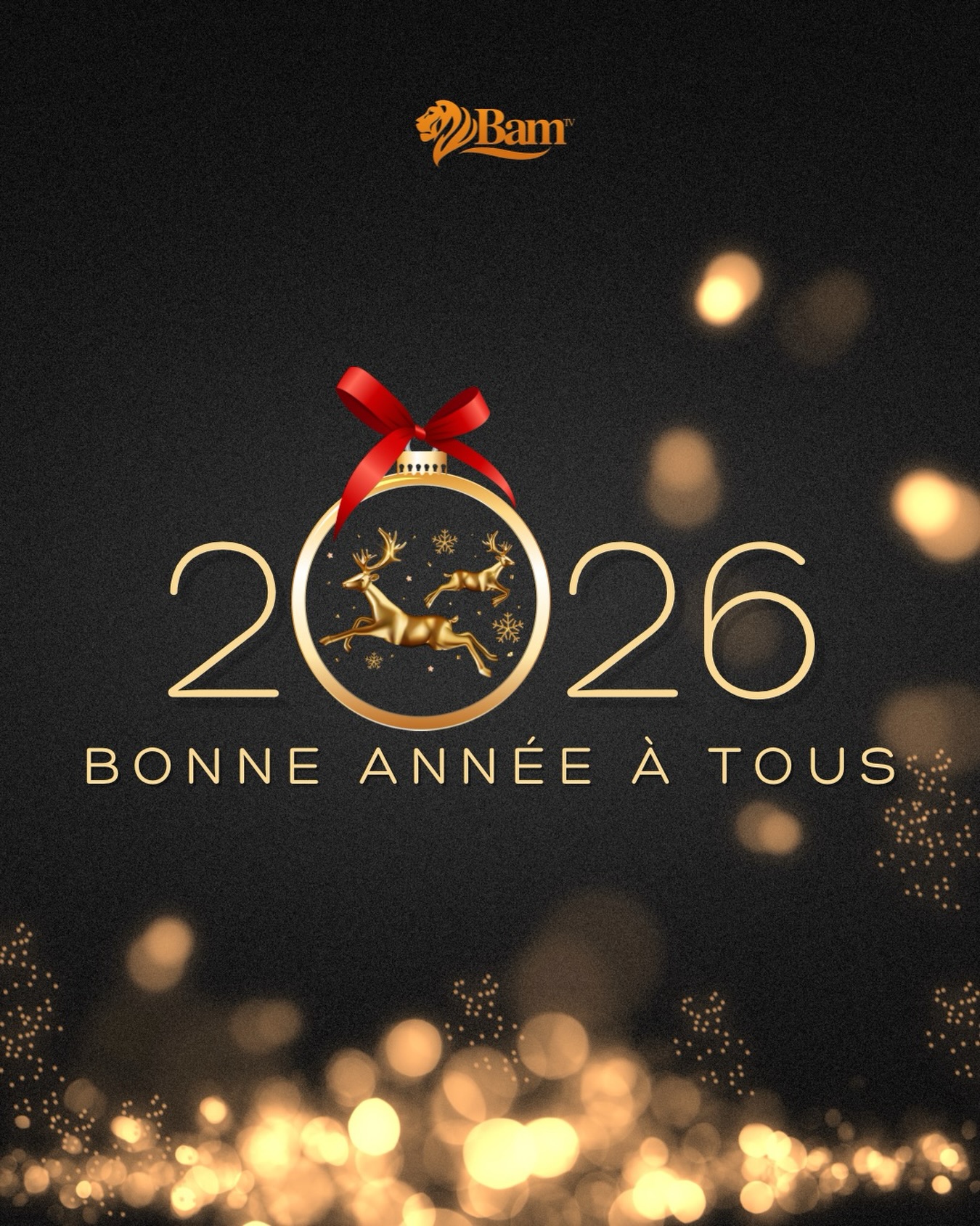 Bonne année de la part de toute l&rsquo;équipe BAM TV