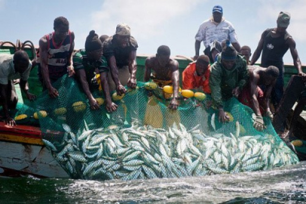 Togo : Les pêches recommencent sur le lac Nangbéto